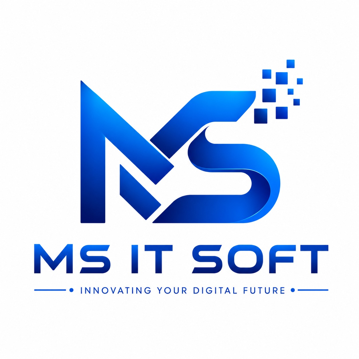 MS IT SOFT